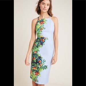 ANTHROPOLOGIE MAEVE Orange Bough Sheath Dress Sz 6P